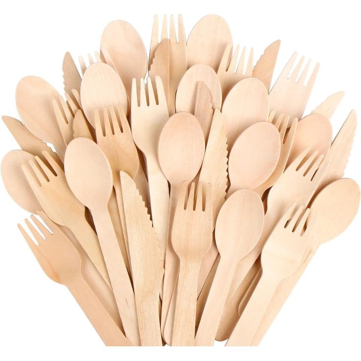 Disposable Tableware 1